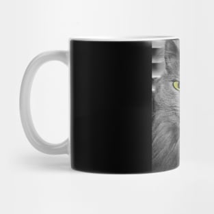 Stunning Green Eyed Cat Mug